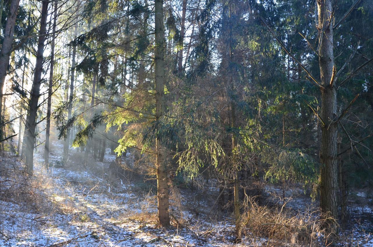 Oaza Mazurska - Willa Lasek Piecki  Exterior foto